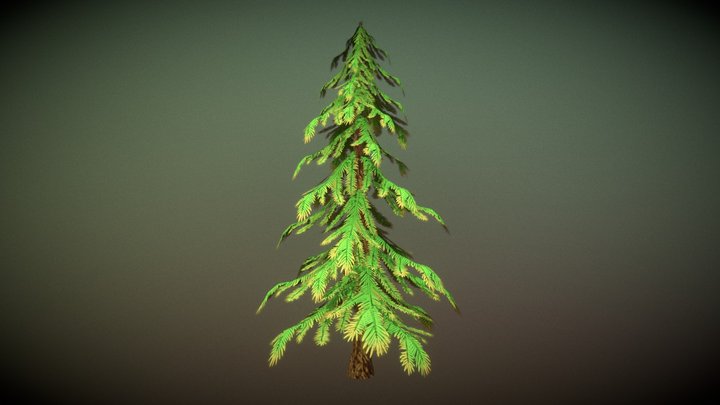 Stylized Pine Tree 3D Model