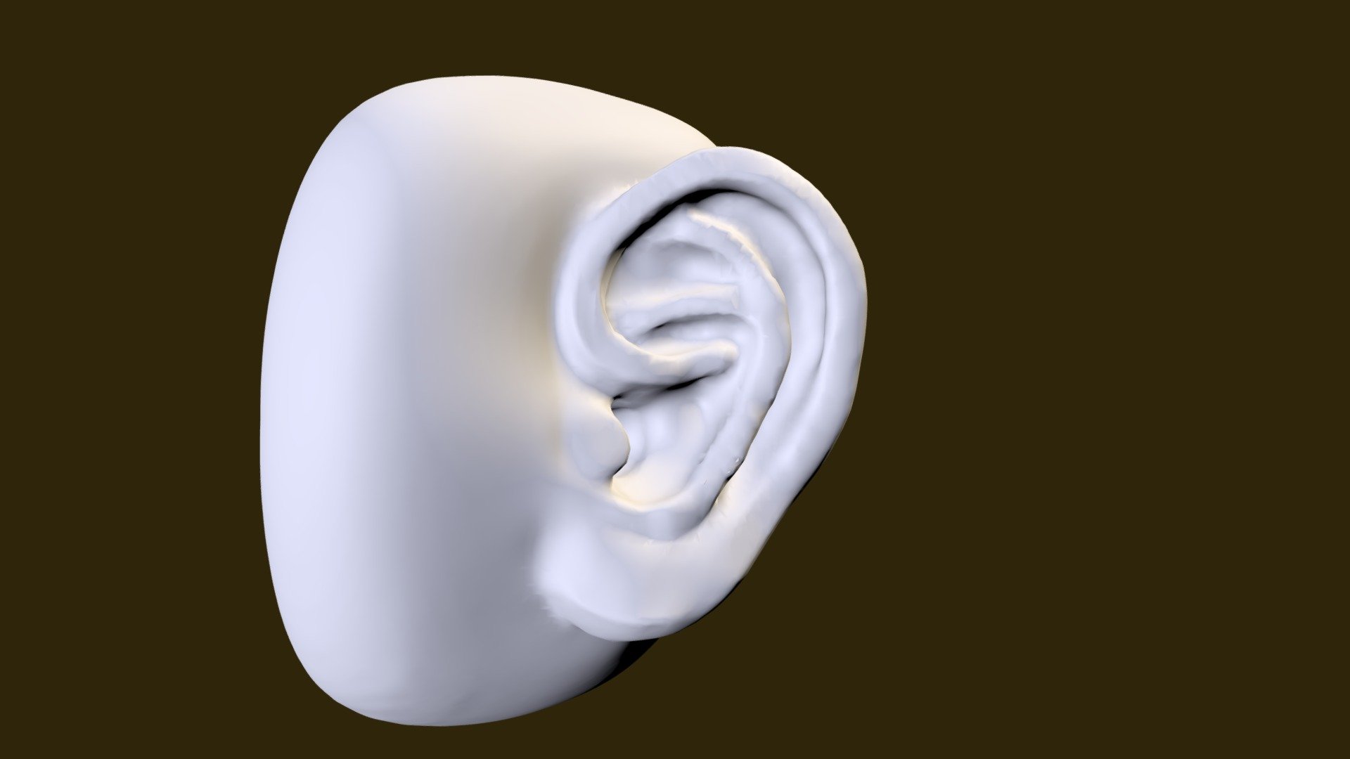 Simple Ear Model - Download Free 3D model by ComputerCat (@ComputerCats ...