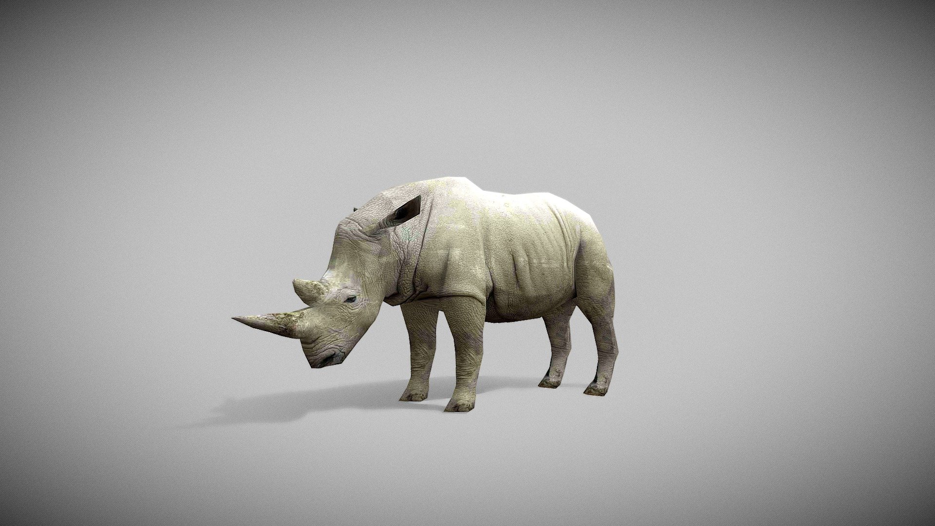 download rhino 3d download rhino 3d