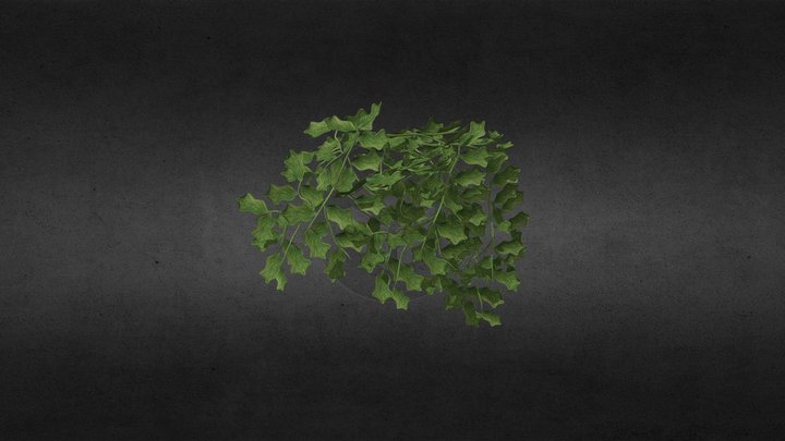 Green Creeper Plant 3D Model