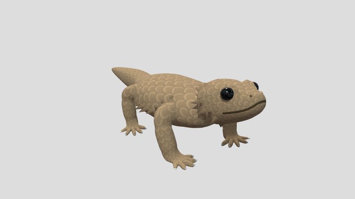 bearded dragon reptile 3D Model