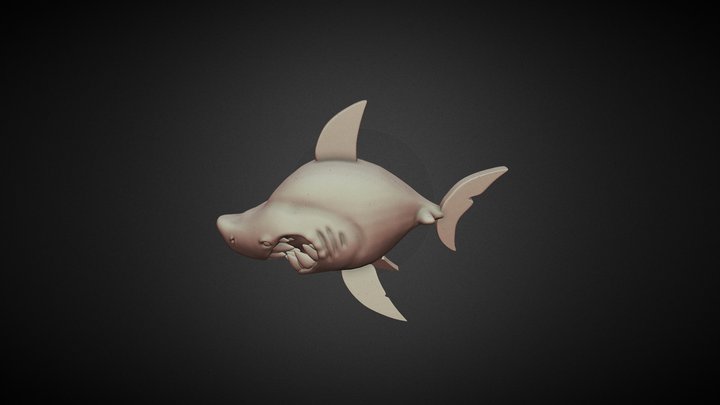 shark 3D Model