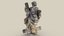 Loading 3D Model