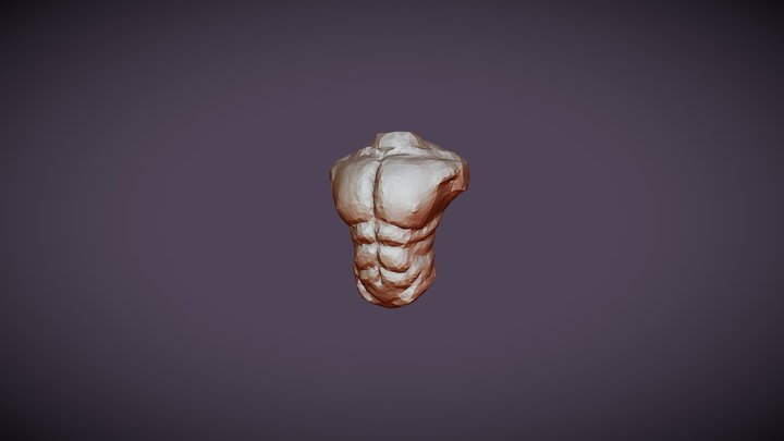 SculptJanuary Day 3 - Chest (Body) 3D Model
