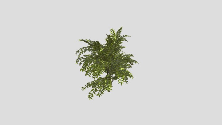 Simple Bush Plant