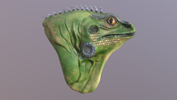 Lizard_6_6 3D Model