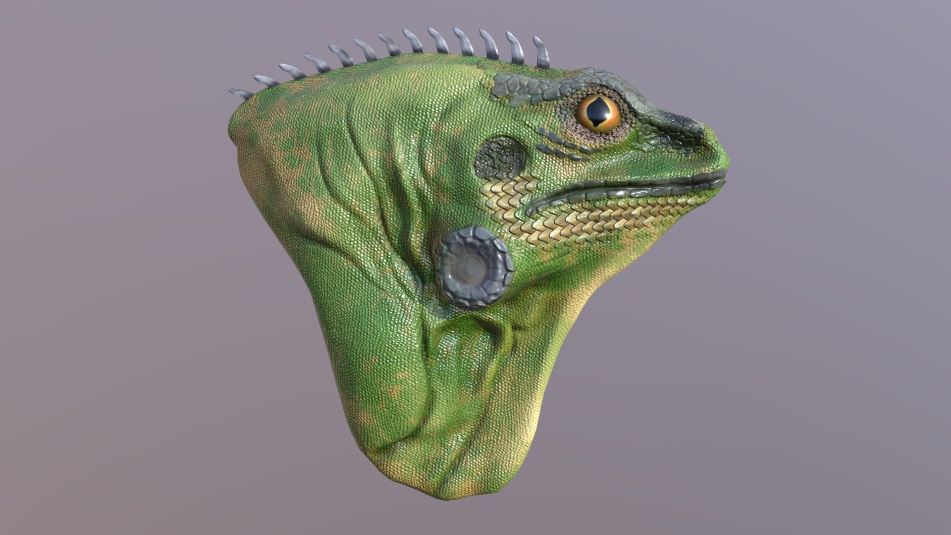 Lizard_6_6