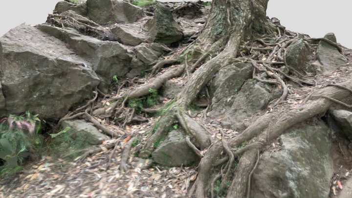 Quarry Wall 2 3D Model
