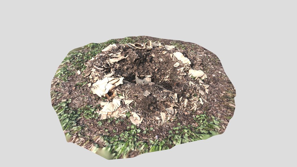 Stump Grinding Debris