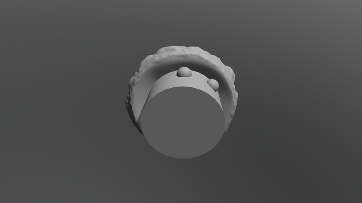 Mushrooms low 3D Model