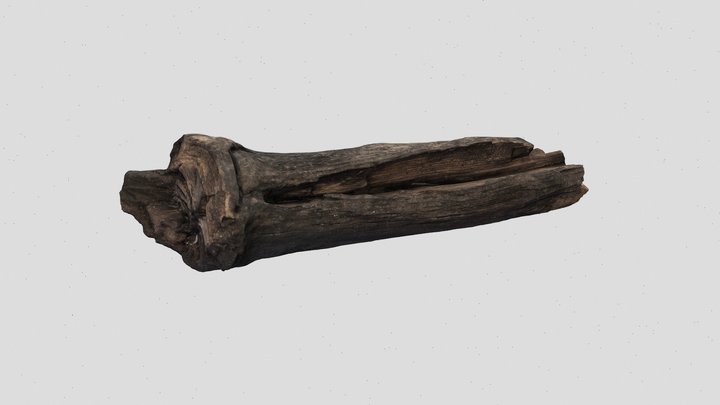 WD6023 SF3989 Must Farm Wooden Axe Haft