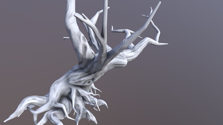 Arbol High 3D Model