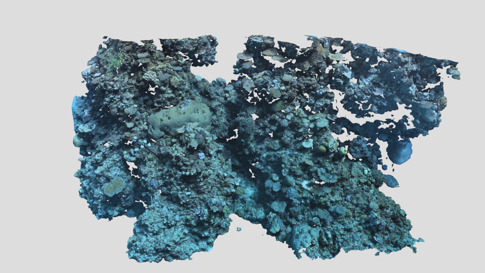 Davies_BA2S_P3_202201 - 3D model by EcoRRAP (@AIMSEcoRRAP) [f11a029 ...