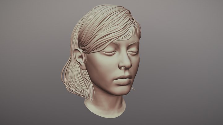 Hair Sculpt 36 | 3D model