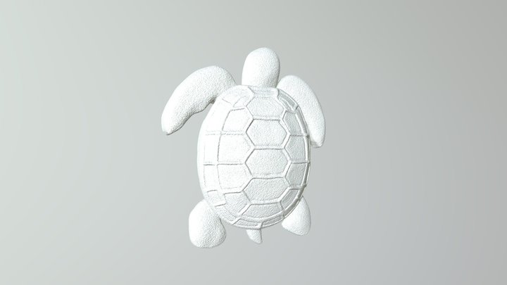 Turtle 3D Model