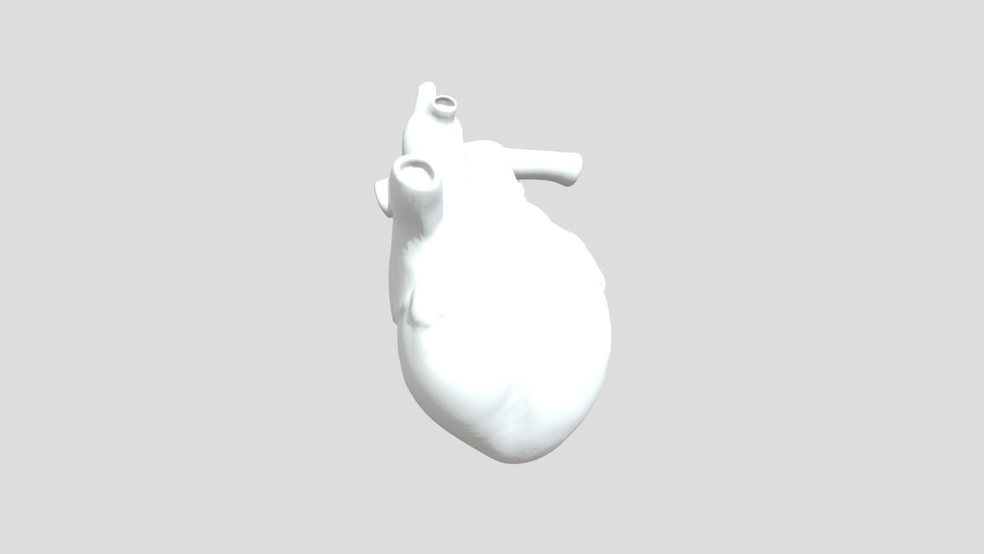 Heart Week Sixteen 01 3d Model By Education Resource Fund Bobsmusail [f11c377] Sketchfab