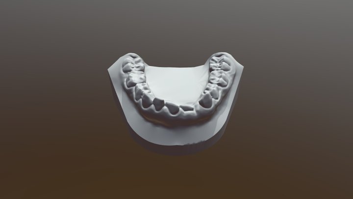 modelo inferior denticion mixta 3D Model