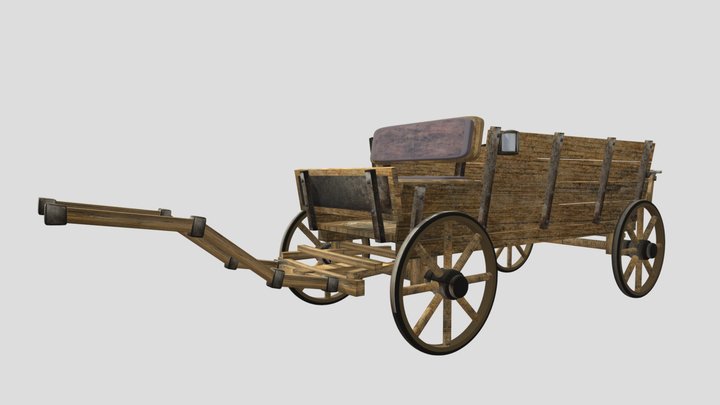 Horse Drawn Carriage 16