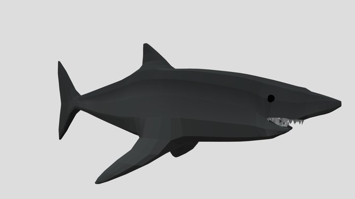 Simple Shark (Test) – Modèle 3D gratuit STL