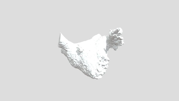 LA_CT_SEL 3D Model