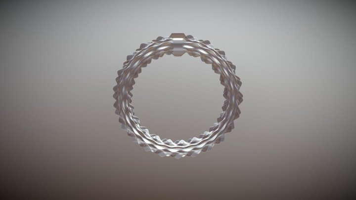 Shell Collection | 3D Printed Ring 3D Model
