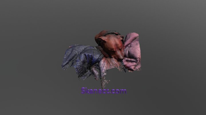 rascal5 3D Model