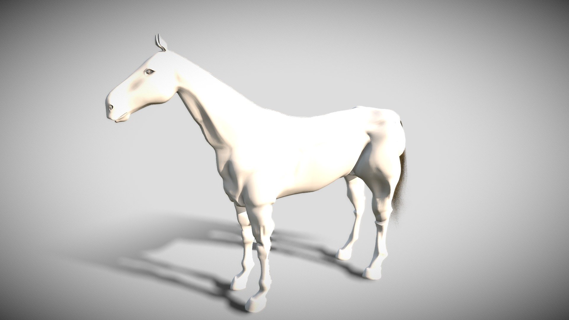 Horse