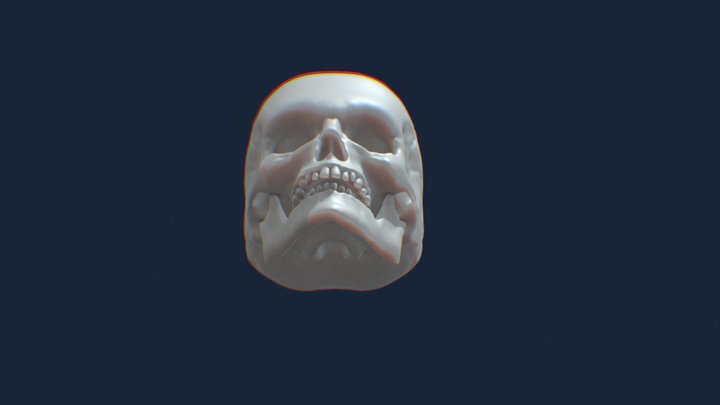 calavera 3D Model