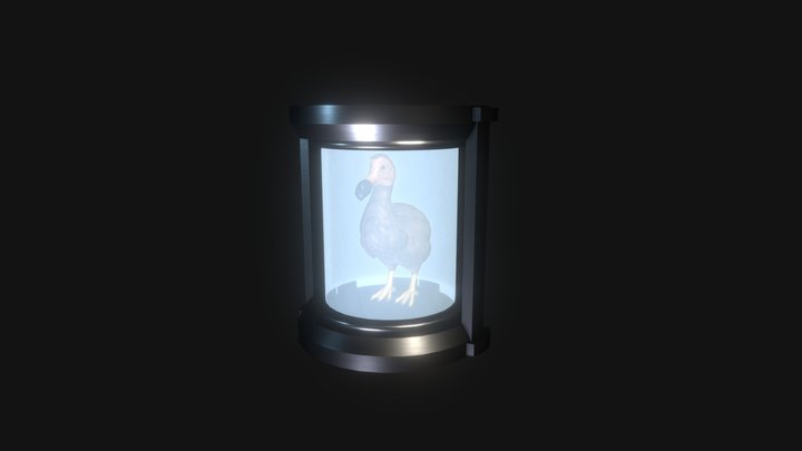 Dodo 3D Model