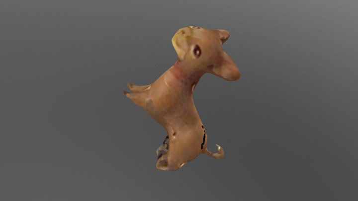 Small dog 3D Model