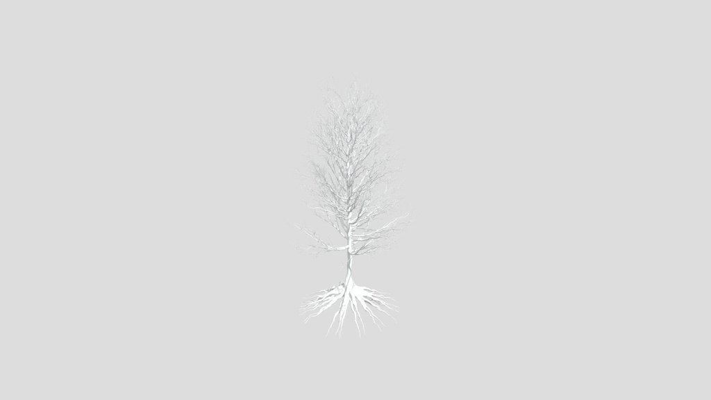 Dry Tree 10