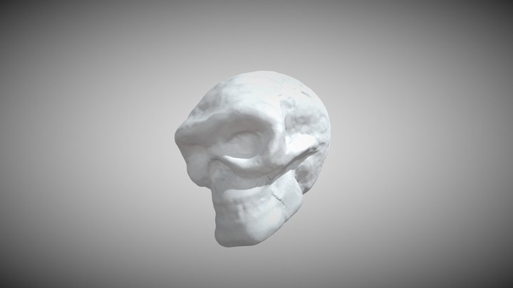 Calavera Grande 4ESO 3D Model