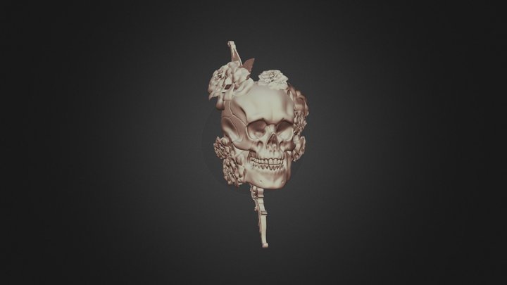 Skull - 3D Model - Anatomy 3D Model