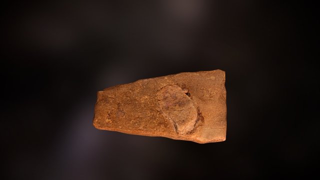 Asteroid Ejecta 3D Model