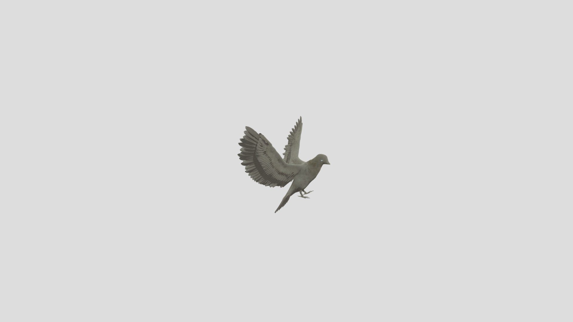 Animated-pigeon-3d-model - Download Free 3D model by xyina124 [f1397b8 ...