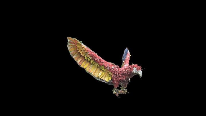 Guacamaya 3D Model