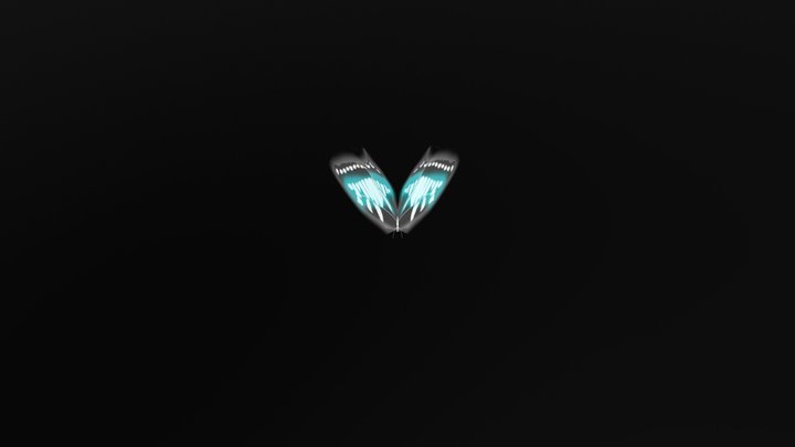Night Butterfly 3D Model