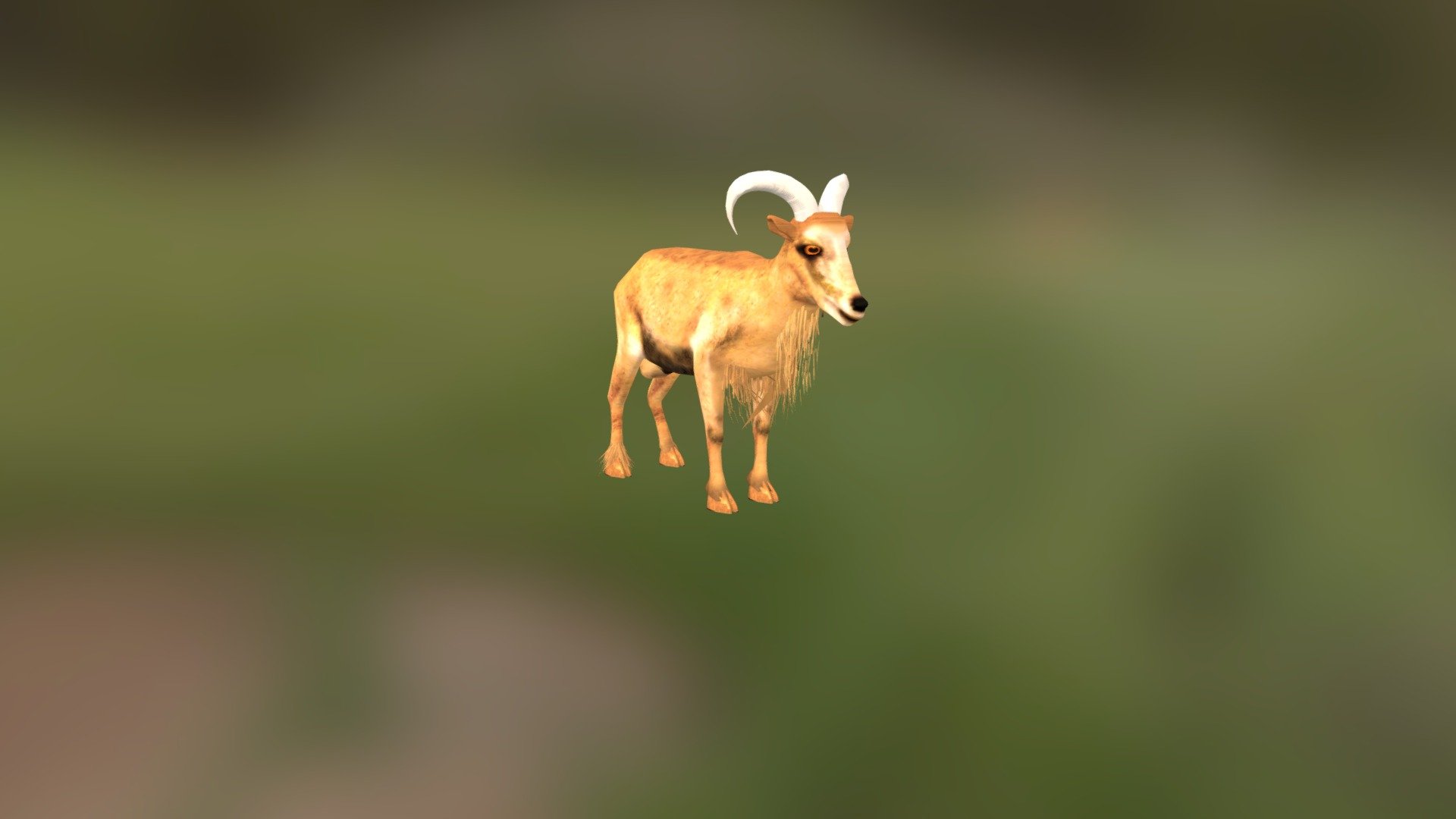 Goat - 3D Model By Vahe Simonyan (@vardges) [f13caf5] - Sketchfab