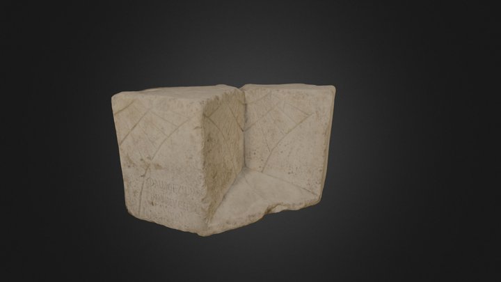 ObjID242reduced.ply 3D Model