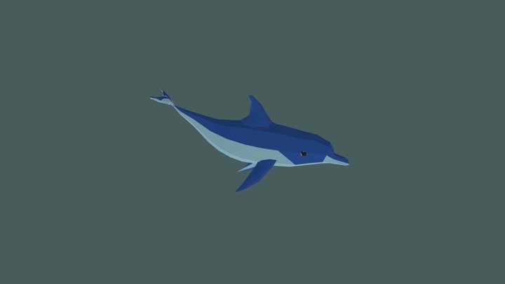 Dolphin 3D Model