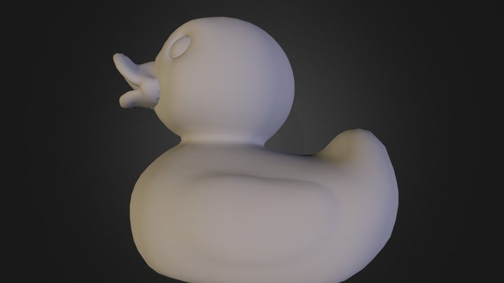 duck.dae 3D Model