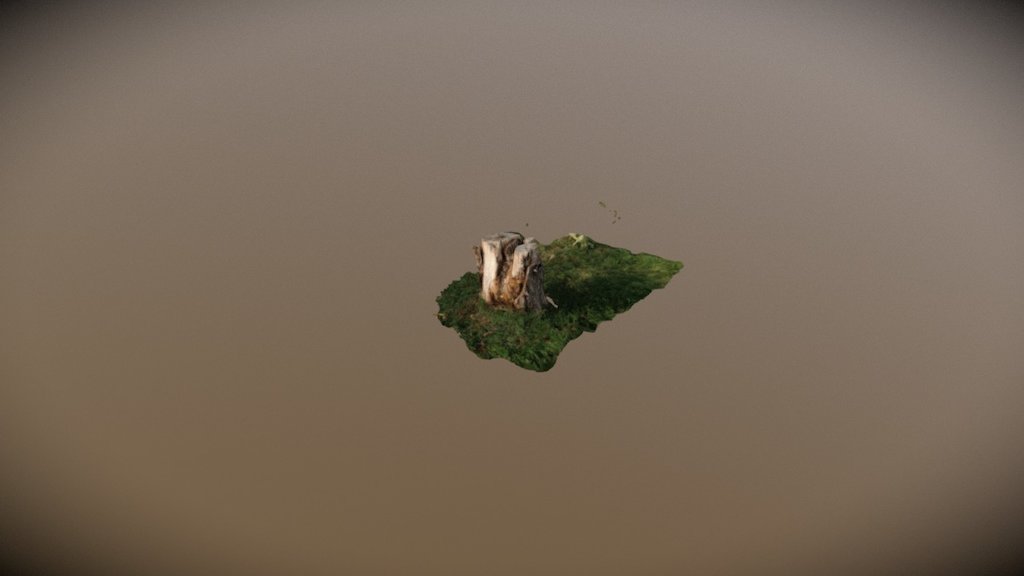 Stump