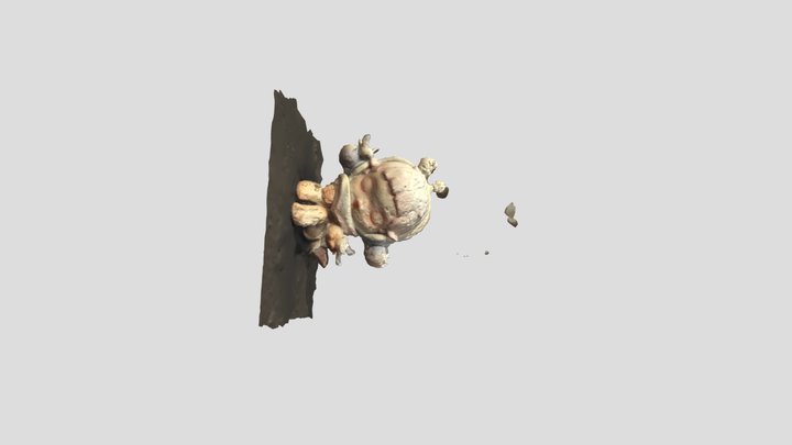 Model-A Camera+Agisoft 3D Model