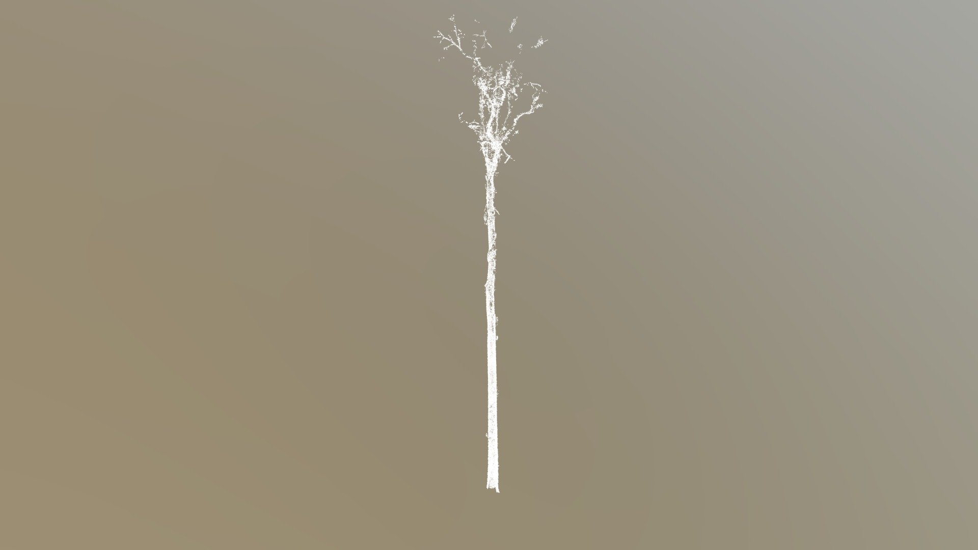 AEP02-tree_130.wood.ply