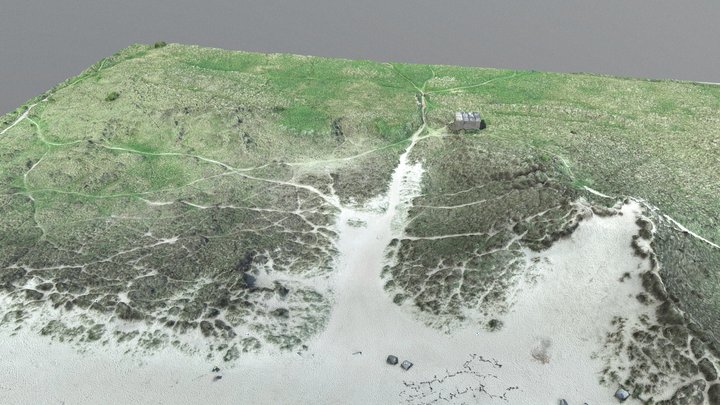Druridge Bay Beach Simplified 3d Mesh Model 3D Model