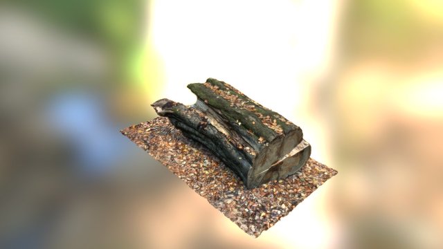Log 3D Model