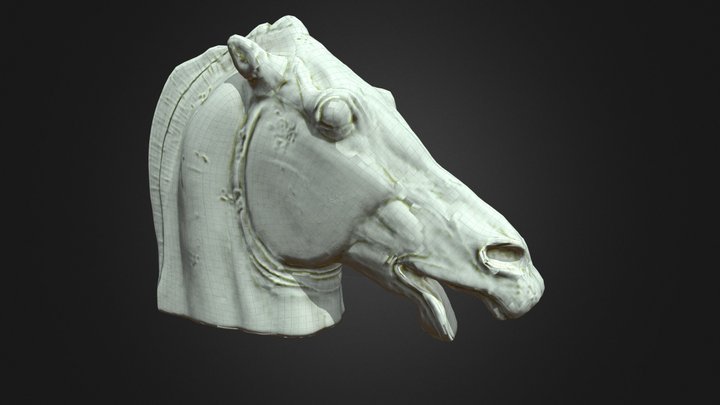 Head of horse from the Parthenon