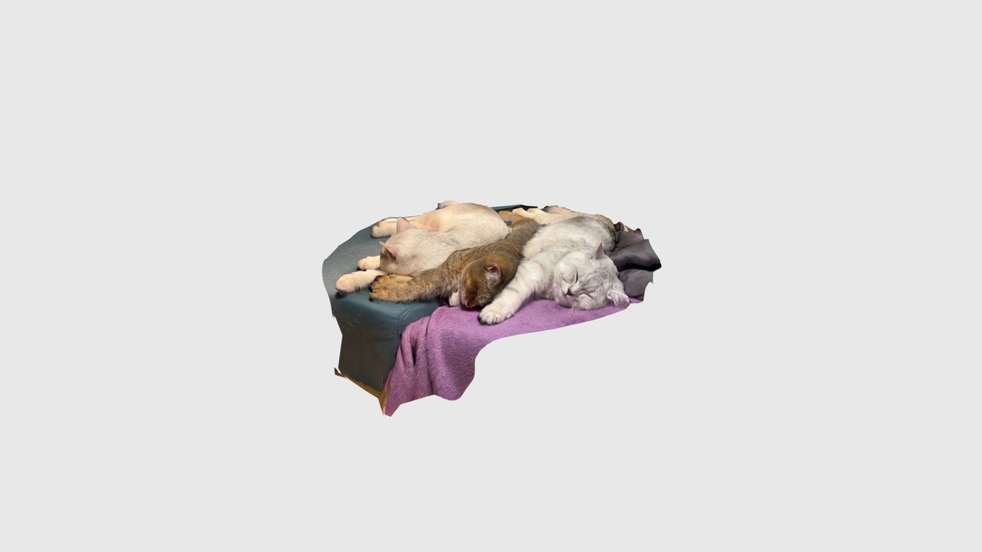 sleeping cats — Sketchfab embed 3D viewer