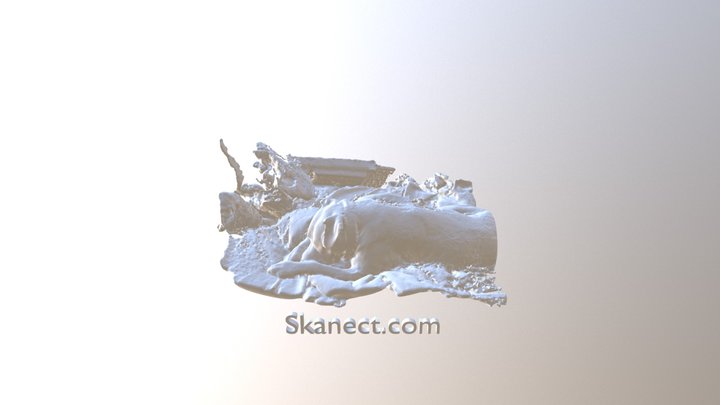 rascal6 3D Model
