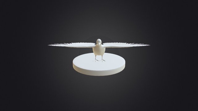 Zwin Museum - Zomertortel 3D Model